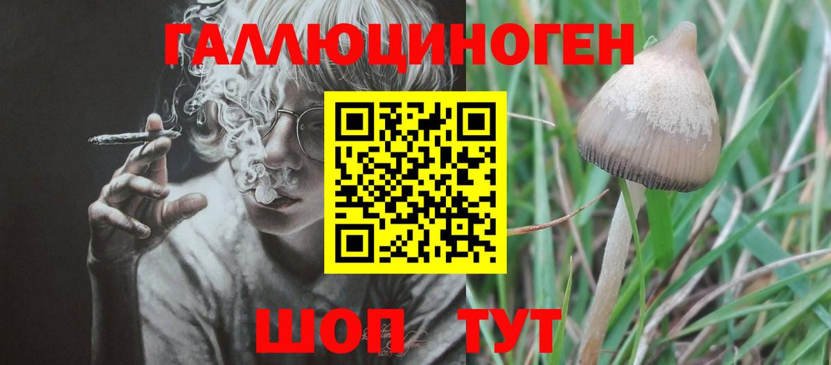Псилоцибиновые грибы прущие грибы  Вход с VPN  Кумертау  Галлюциногенные грибы ЛСД 