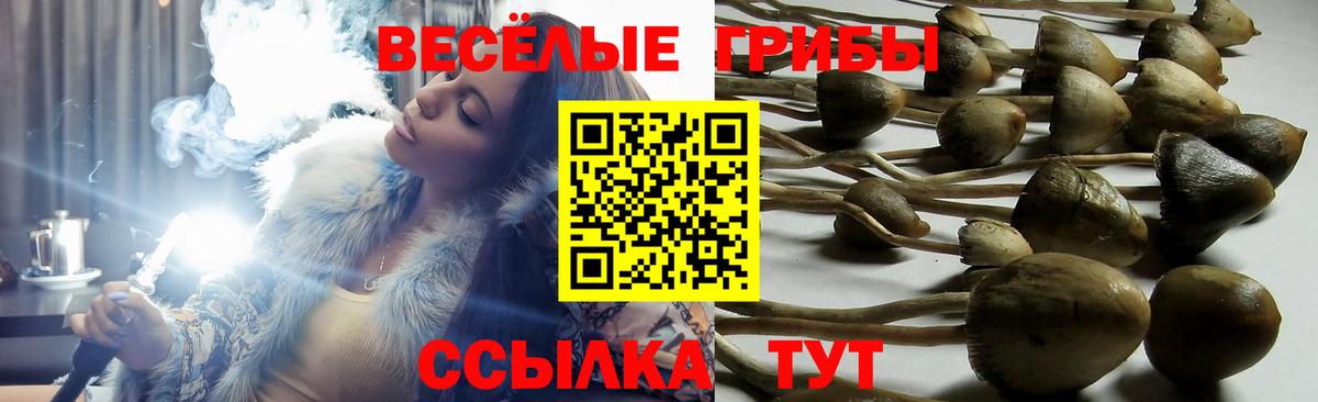 Галлюциногенные грибы Cubensis Кумертау